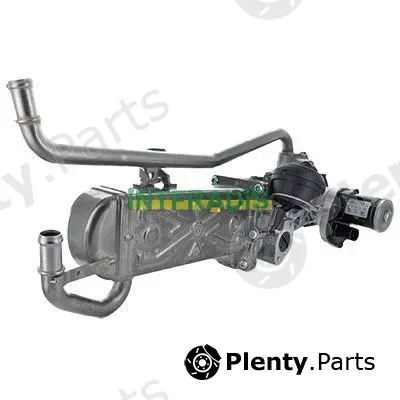 Intfradis 2591 — EGR Valve