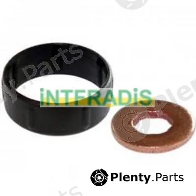 Intfradis 10126 — Seal Kit, injector nozzle