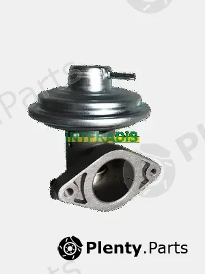 Intfradis 25618 — EGR Valve