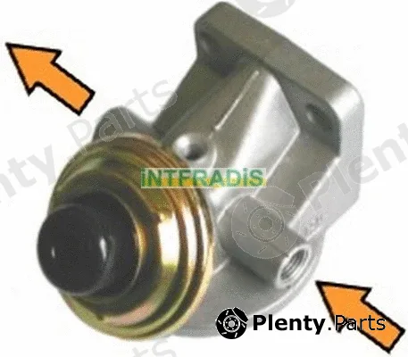 Intfradis 10101BL — Holder, fuel filter