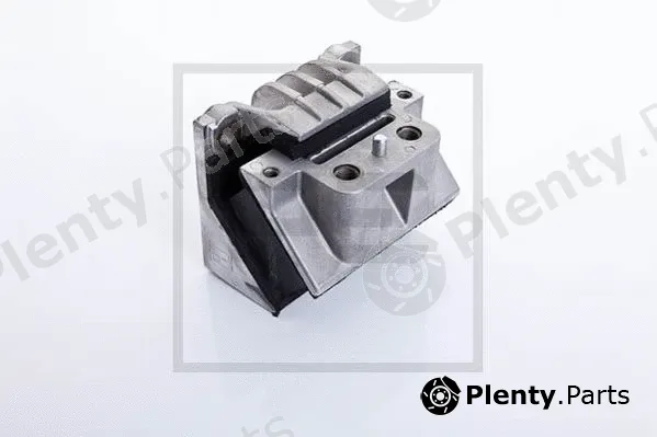 PE Automotive 010.663-00A — Mounting, engine