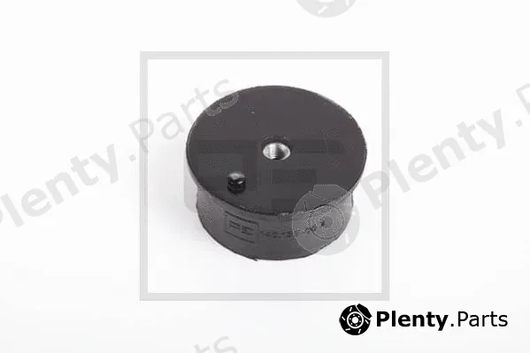 PE Automotive 140.139-00A — Mounting, engine
