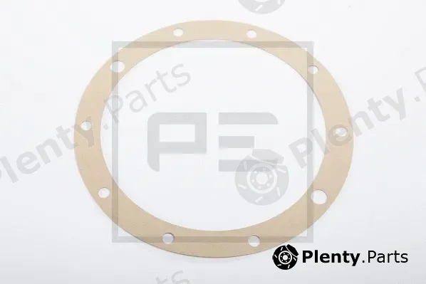 PE Automotive 031.173-00A — Seal