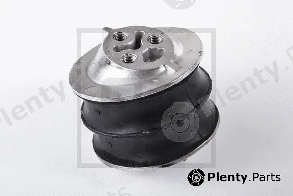 PE Automotive 120.196-00A — Mounting, engine