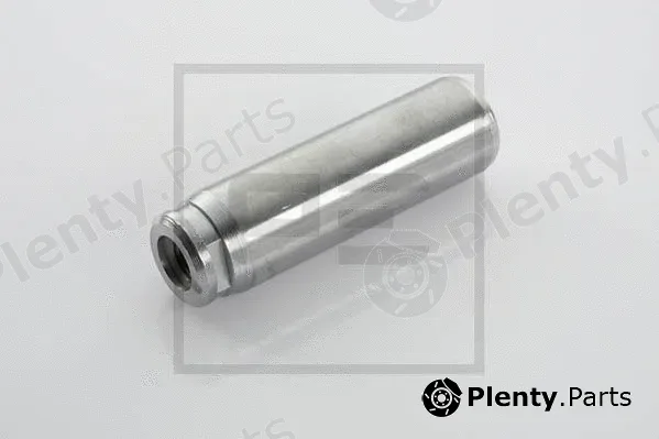 PE Automotive 016.036-10A — Brake Shoe Bolt