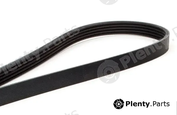 ACDelco Oceania 5PK1010 — V-Ribbed Belt