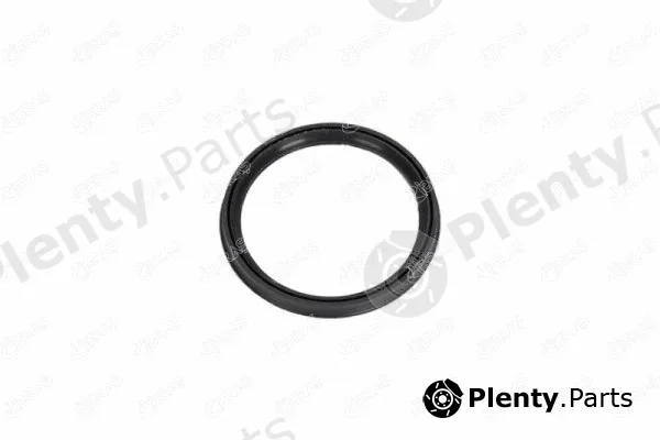 Ibras 11979 — Gasket, charger