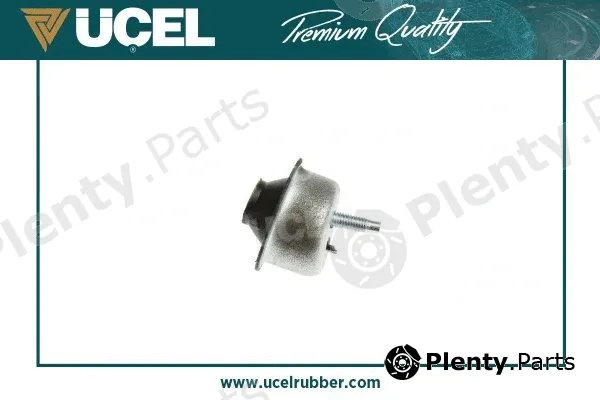 Mounting, engine
