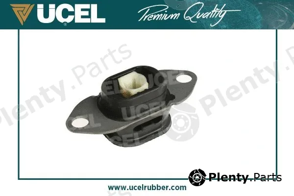 Mounting, engine