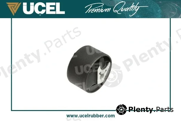 Mounting, engine