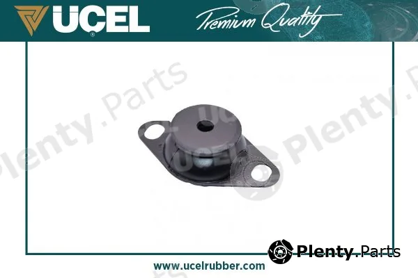 Mounting, engine