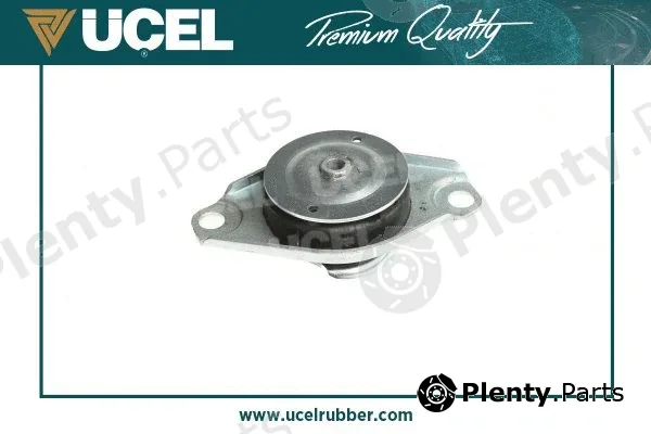 Mounting, engine