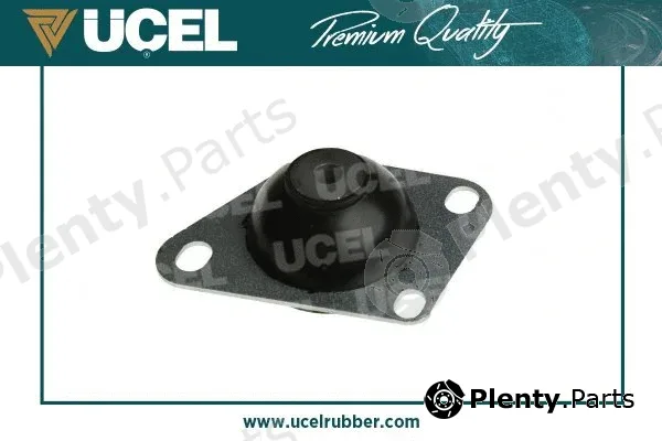 Mounting, engine