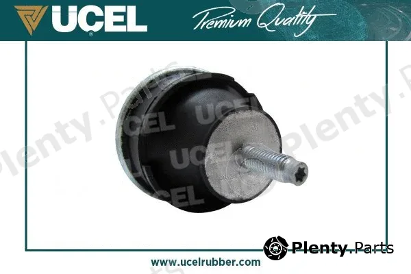 Mounting, engine