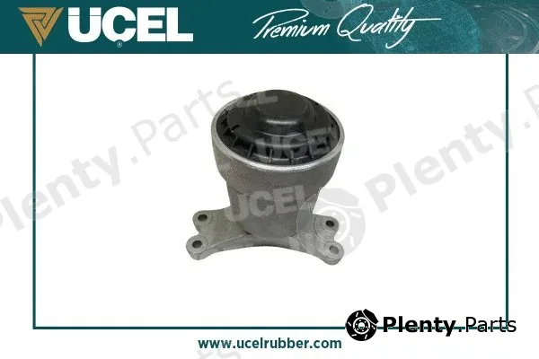 Mounting, engine