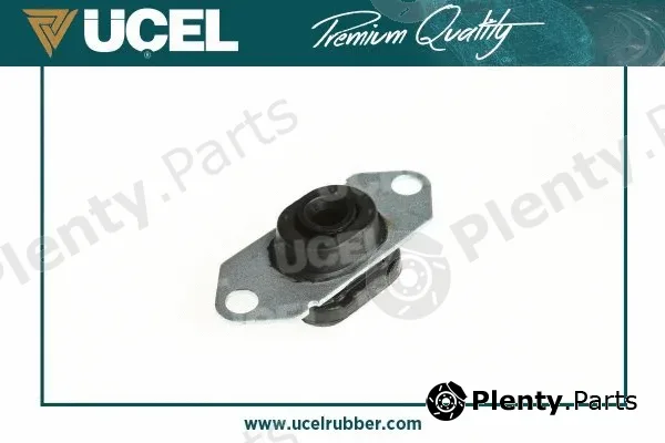 Mounting, engine