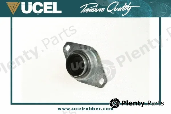 Mounting, engine