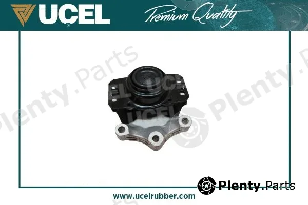 Mounting, engine