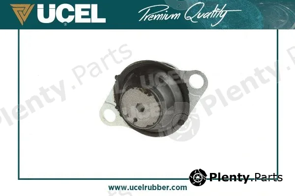 Mounting, engine