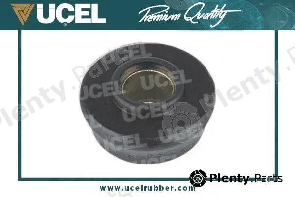 Ucel 10131 — Mounting, control/trailing arm