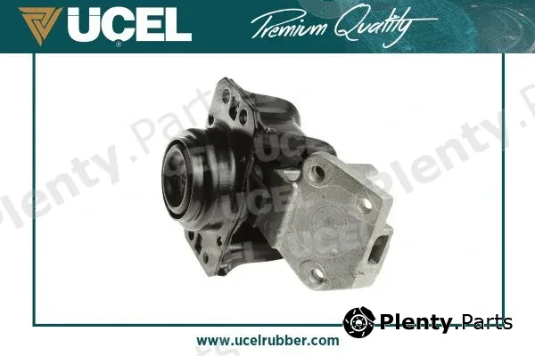 Mounting, engine