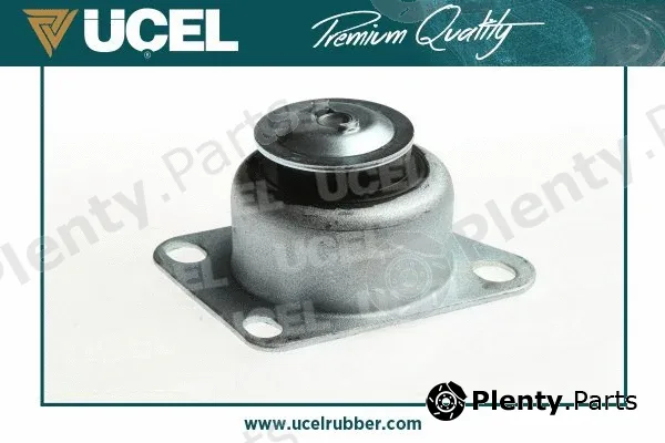 Mounting, engine