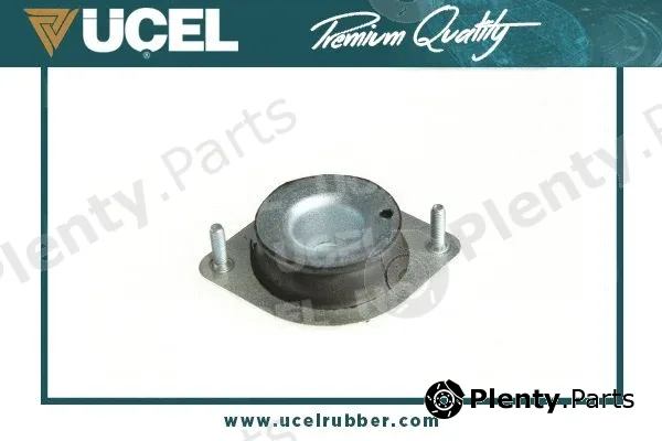 Mounting, engine