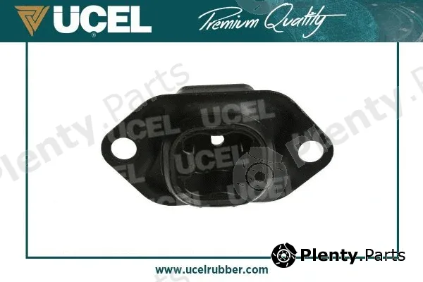 Mounting, engine