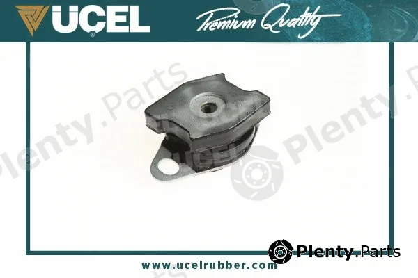 Mounting, engine