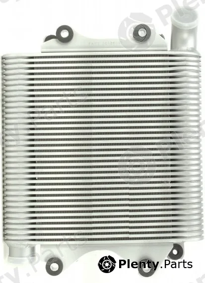 Vitale IS891852 — Charge Air Cooler
