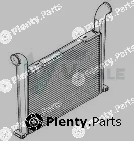 Vitale YA422000 — Radiator, engine cooling