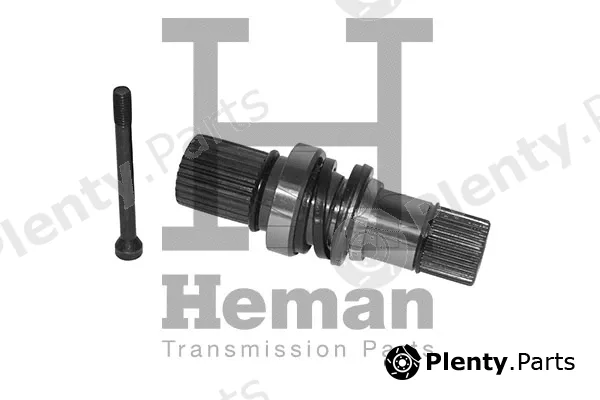 Heman TT10001 — Stub Axle, differential