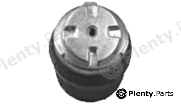 Wolver SM80438 — Mounting, engine