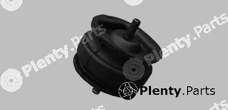 Wolver SM80561 — Mounting, engine