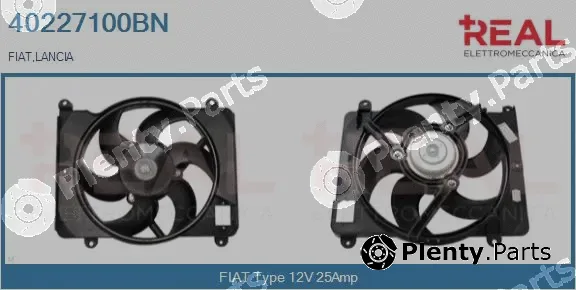 Real 40227100BN — Electric Motor, radiator fan