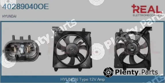 Real 40289040OE — Electric Motor, radiator fan