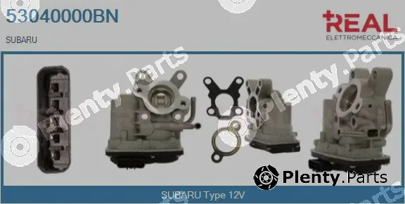 Real 53040000BN — EGR Valve