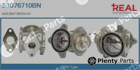 Real 53076710BN — EGR Valve
