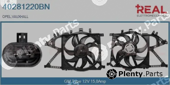 Real 40281220BN — Electric Motor, radiator fan