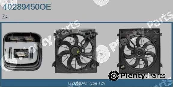 Real 40289450OE — Electric Motor, radiator fan