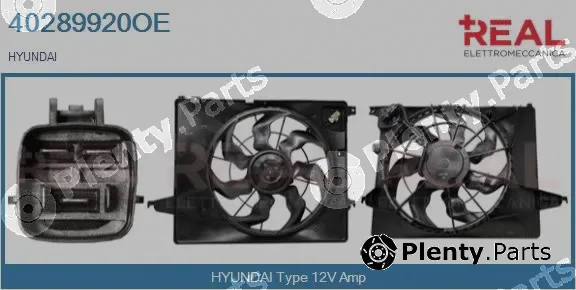 Real 40289920OE — Electric Motor, radiator fan