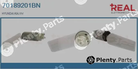 Real 70189201BN — Fuel Pump