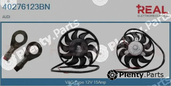 Real 40276123BN — Fan, engine cooling