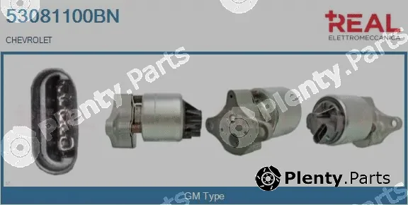 Real 53081100BN — EGR Valve