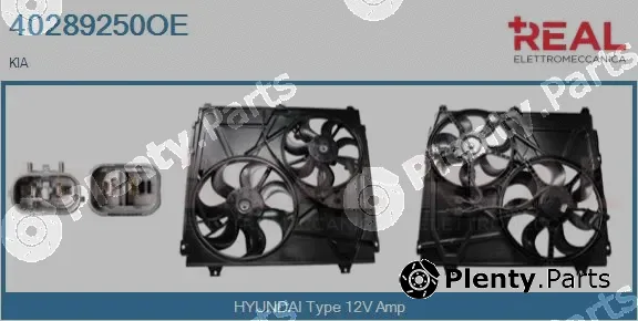 Real 40289250OE — Electric Motor, radiator fan