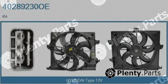 Real 40289230OE — Electric Motor, radiator fan