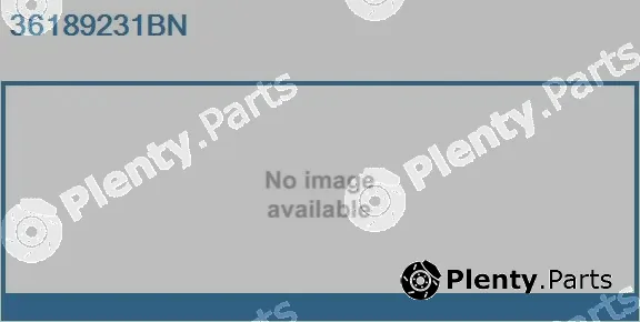 Real 36189231BN — Hydraulic Pump, steering