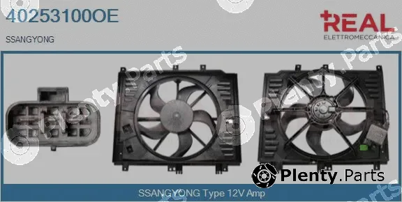 Real 40253100OE — Electric Motor, radiator fan