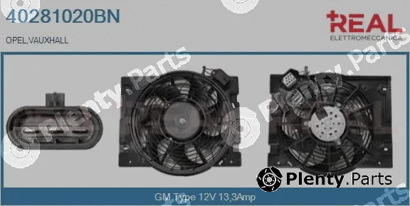 Real 40281020BN — Electric Motor, radiator fan