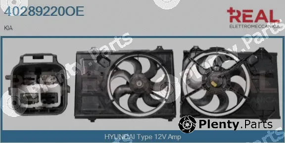Real 40289220OE — Electric Motor, radiator fan